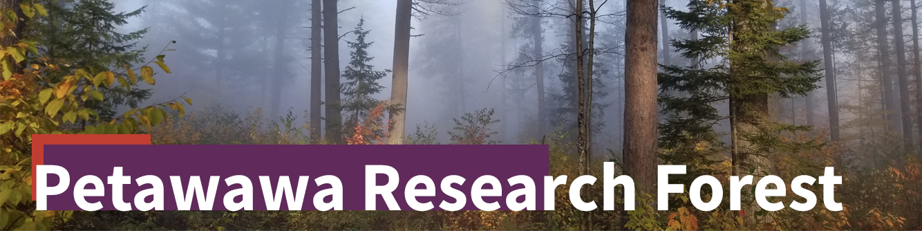 petawawa research forest banner