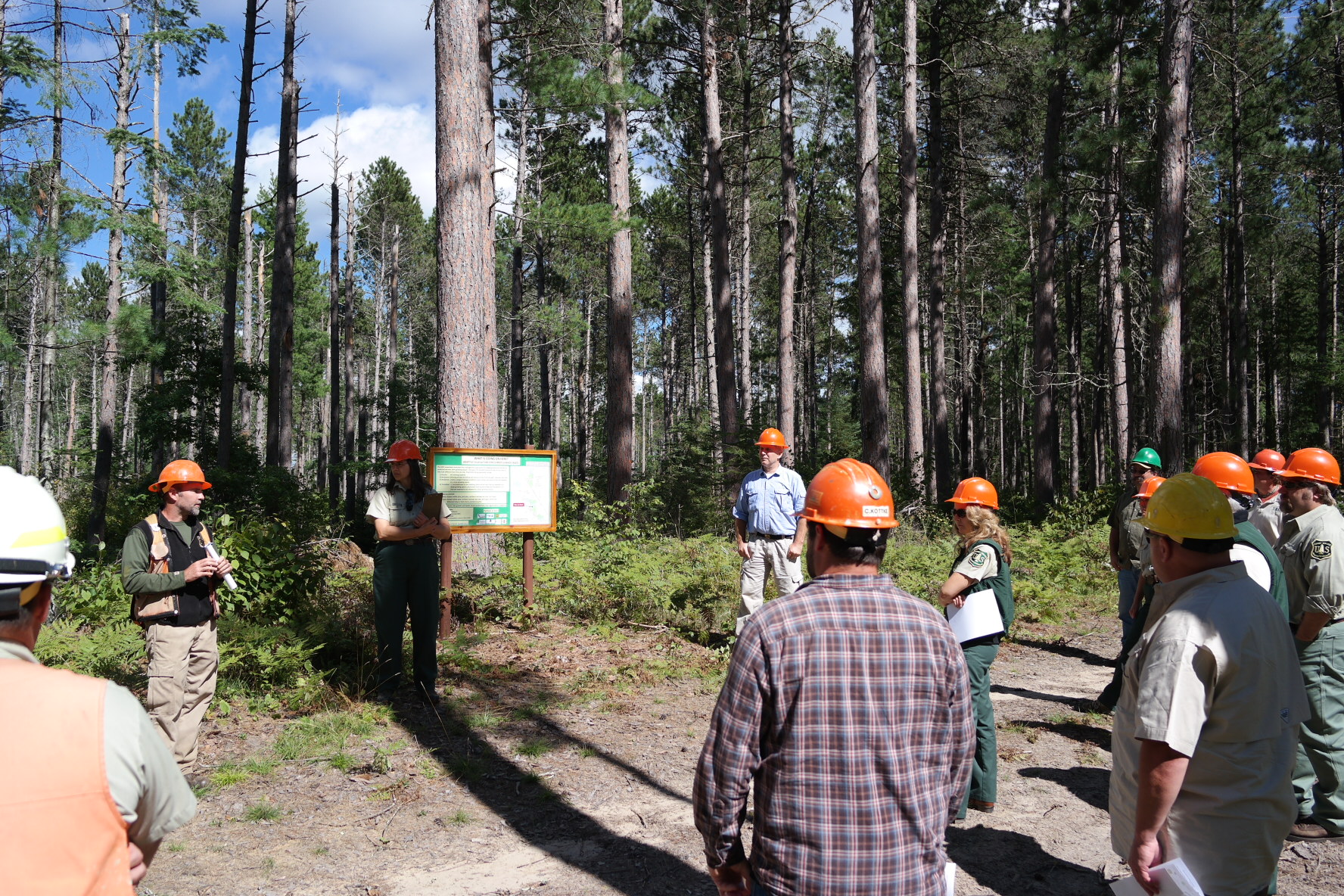 Foresters tour the Cutfoot Experimental Forest ASCC site. 