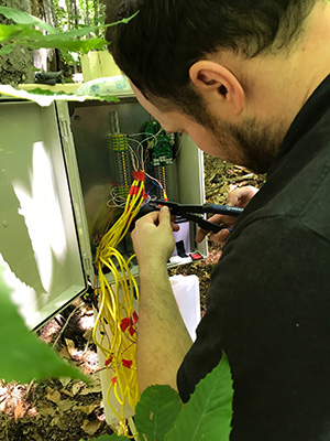 Wiring the sensors to measure the dead wood moisture 