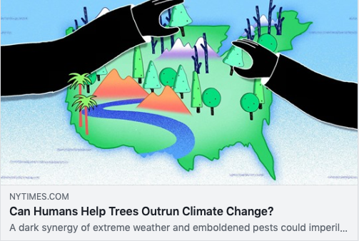 The New York Times article "Can Humans Help Trees Outrun Climate Change?"