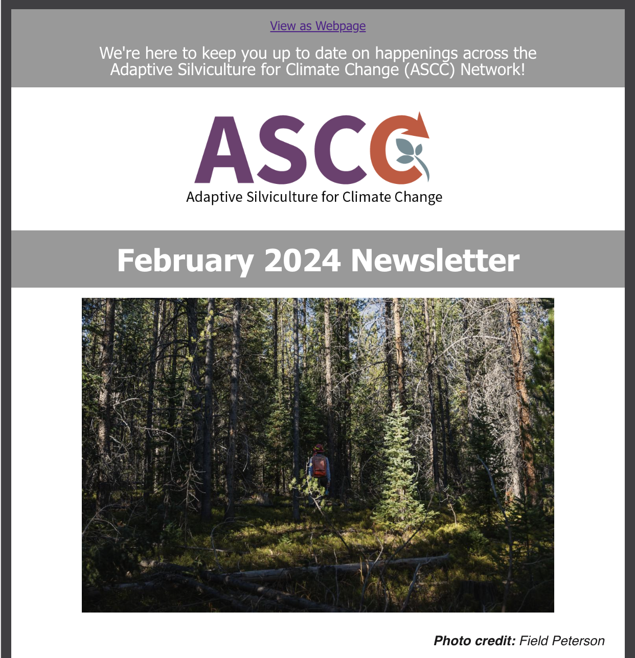 Screenshot of the ASCC Newsletter