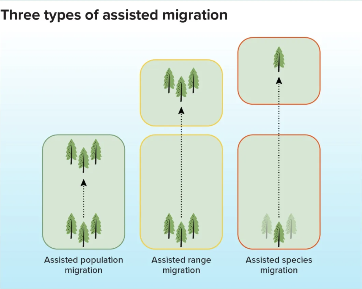 Figure of Assisted Migration: Population, Range, and Species