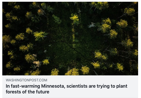 Washington Post - Scientists are trying to save Minnesota's North Wood forest from climate change