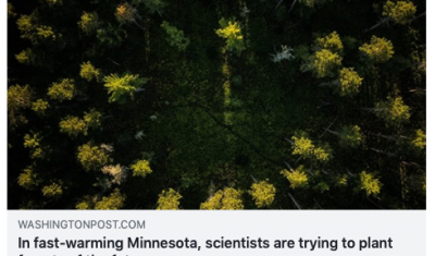 Washington Post - Scientists are trying to save Minnesota’s North Woods forest from climate change