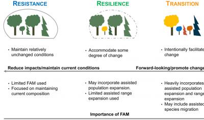 Figure 1 from Palik et al. 2022, Forest-assisted migration (FAM) as part of climate adaptation strategies. The role of FAM increases with degree of change in forest conditions. Redrawn and adapted from Millar et al. (2007), Swanston et al. (2016), and Nagel et al. (2017).