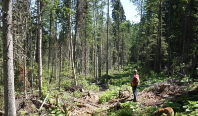 Photo of site by Che Elkin /University of Northern B.C.