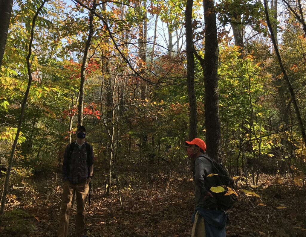 two people standing in a forested area in autumn.