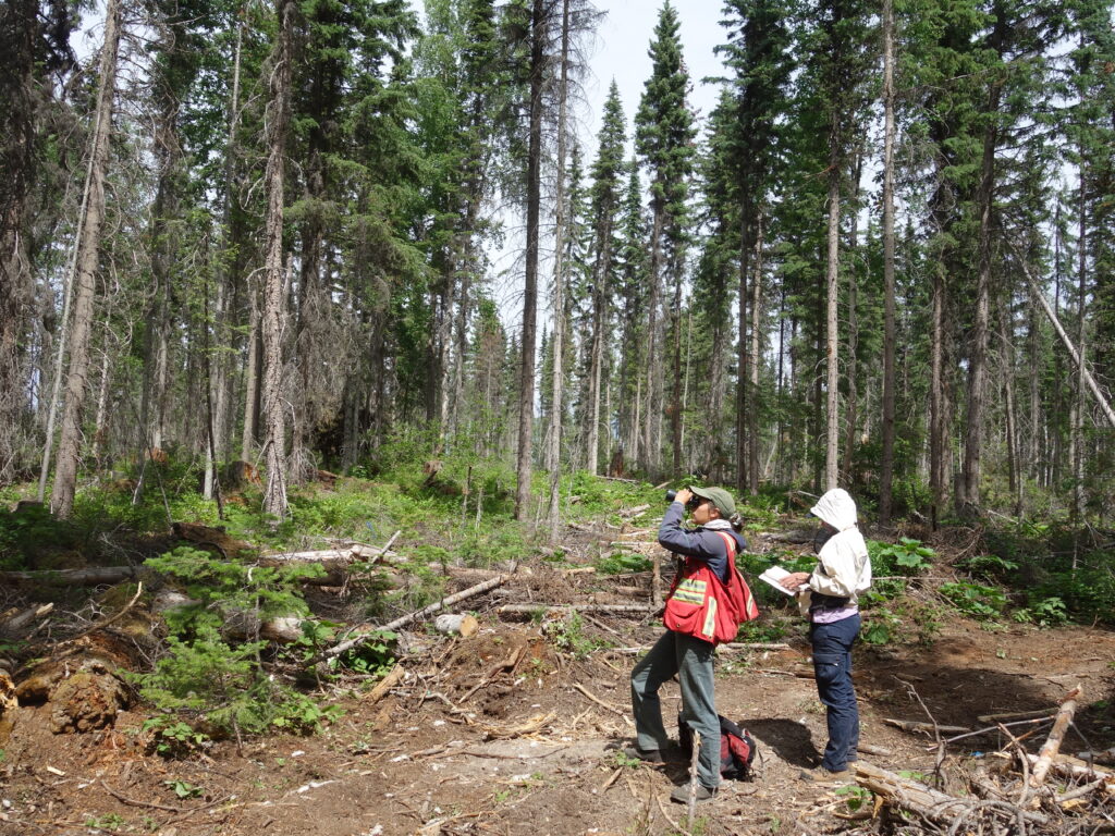 Kaitlyn Kuzma-Wells and Kristen Waring assessing Forest Health in Resistance Treatment.