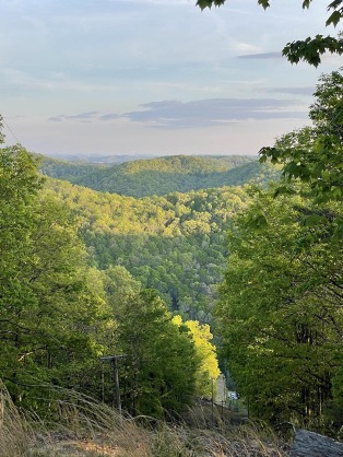 View looking out over a hilly, densly forested landscape.