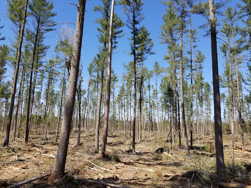 Resistance at the PRF includes management to achieve the DFC with mild deviation from standard strategies & approaches. Photo Credit: Mike Hoepting, Natural Resources Canada.