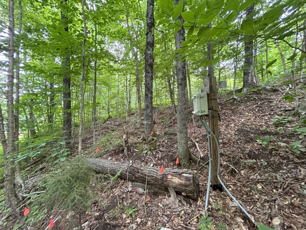 Downed, dead log with flags on it and a sensor box above it in a forest.