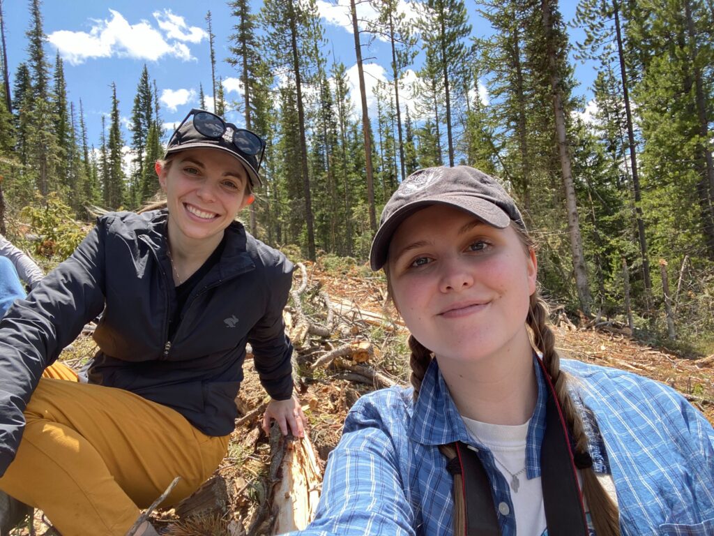 Maria Vicini and Rylee McMillan at the Colorado State Forest ASCC site.